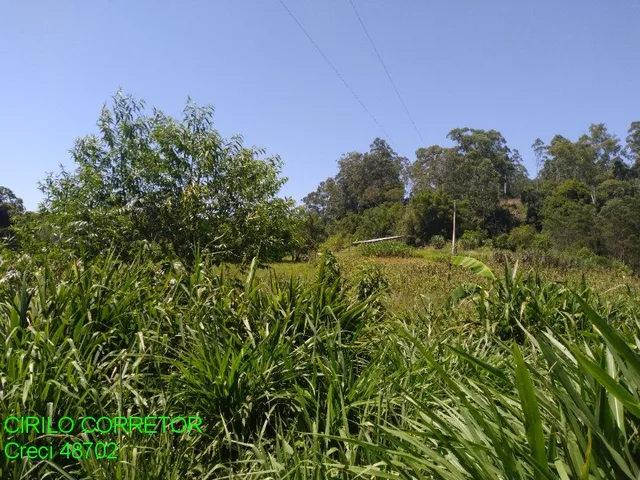 Imagem 15: CHACARA RURAL em MONTENEGRO - RS, SERRA VELHA