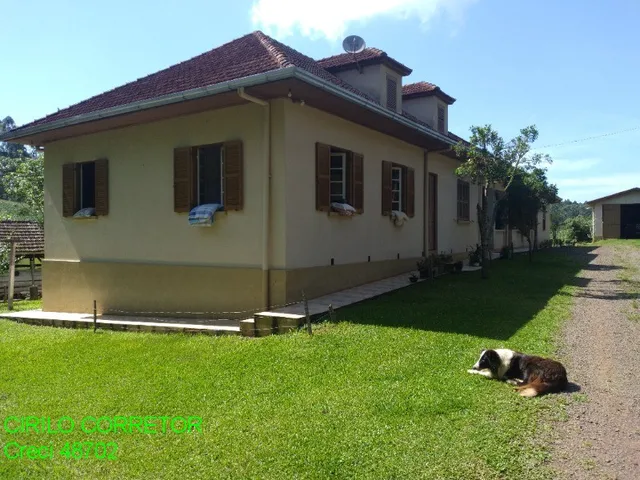 Imagem 8: CHACARA RURAL em BROCHIER - RS, NOVA HOLANDA