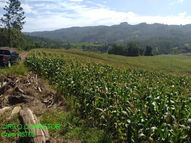Imagem 13: CHACARA RURAL em BROCHIER - RS, NOVA HOLANDA