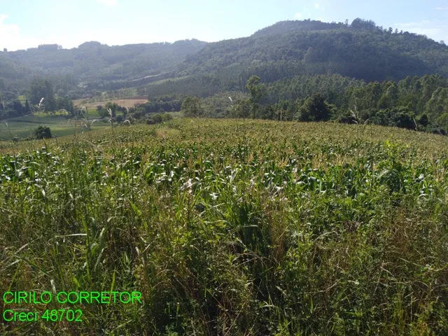 Imagem 2: CHACARA RURAL em BROCHIER - RS, NOVA HOLANDA