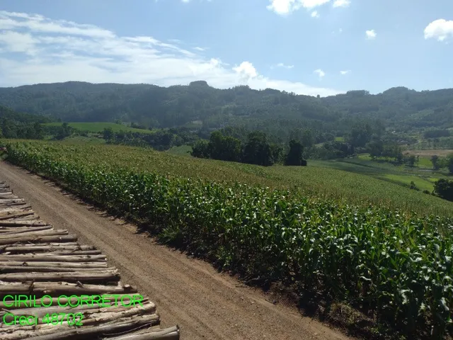 Imagem 3: CHACARA RURAL em BROCHIER - RS, NOVA HOLANDA