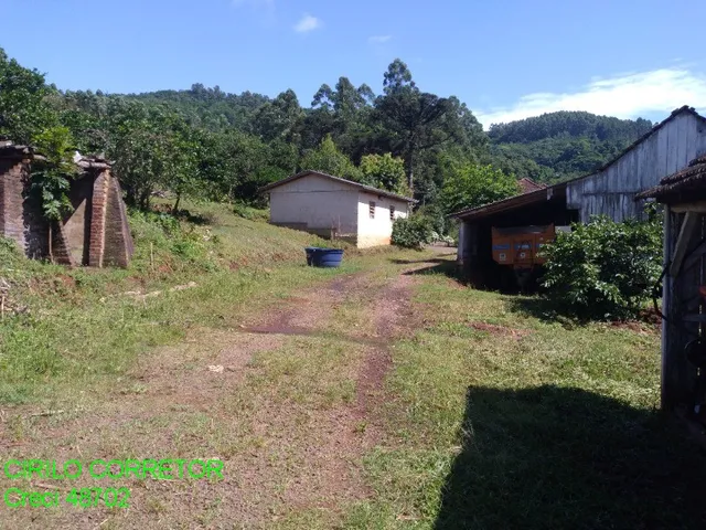 Imagem 7: CHACARA RURAL em BROCHIER - RS, NOVA HOLANDA
