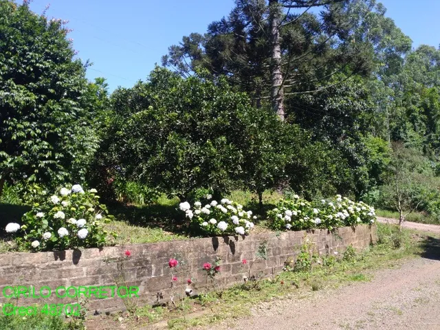 Imagem 16: CHACARA RURAL em BROCHIER - RS, NOVA HOLANDA