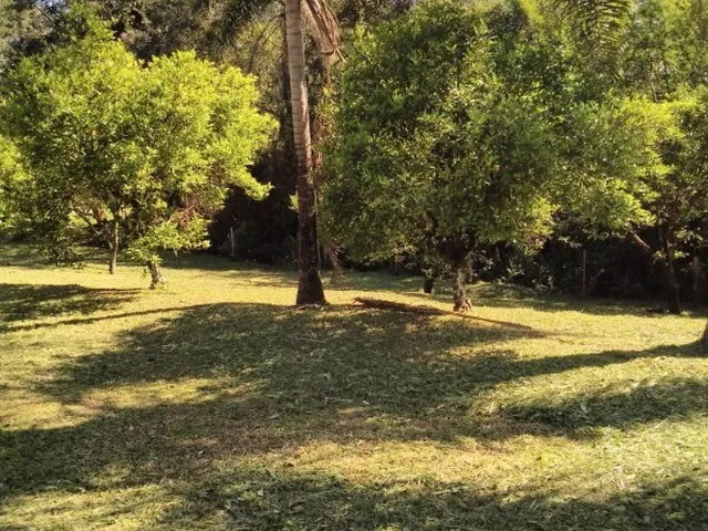 Imagem 15: CHACARA RURAL em MONTENEGRO - RS, CAMPO DO MEIO