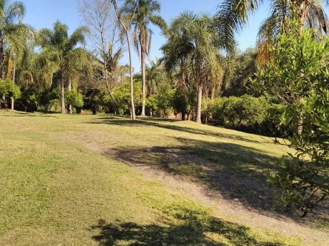 Imagem 3: CHACARA RURAL em MONTENEGRO - RS, CAMPO DO MEIO