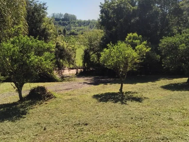 Imagem 9: CHACARA RURAL em MONTENEGRO - RS, CAMPO DO MEIO
