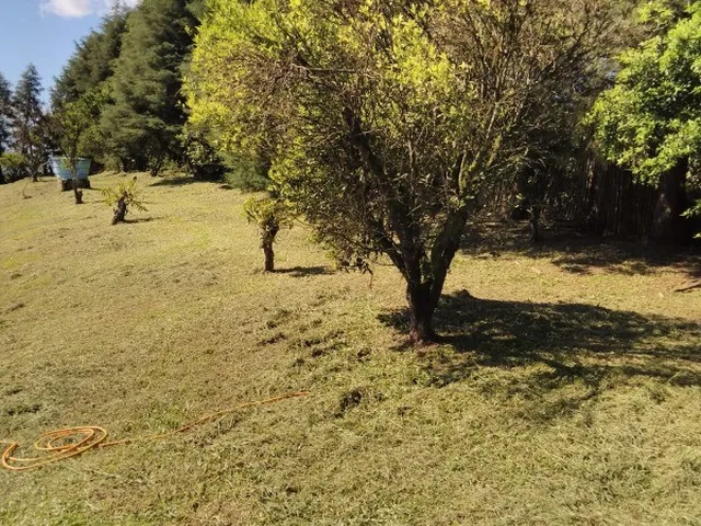 Imagem 12: CHACARA RURAL em MONTENEGRO - RS, CAMPO DO MEIO