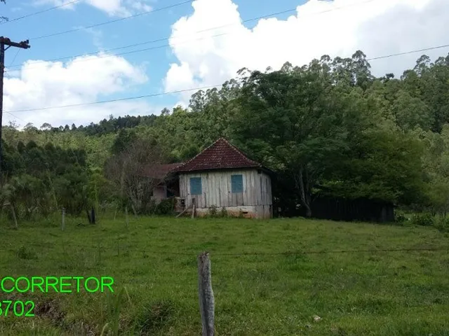 Imagem 2: CHACARA RURAL em MONTENEGRO - RS, Serra Velha