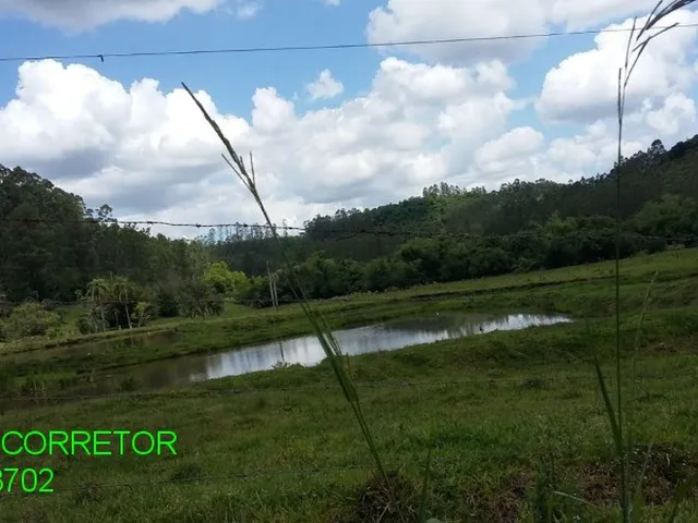 Imagem 14: CHACARA RURAL em MONTENEGRO - RS, Serra Velha