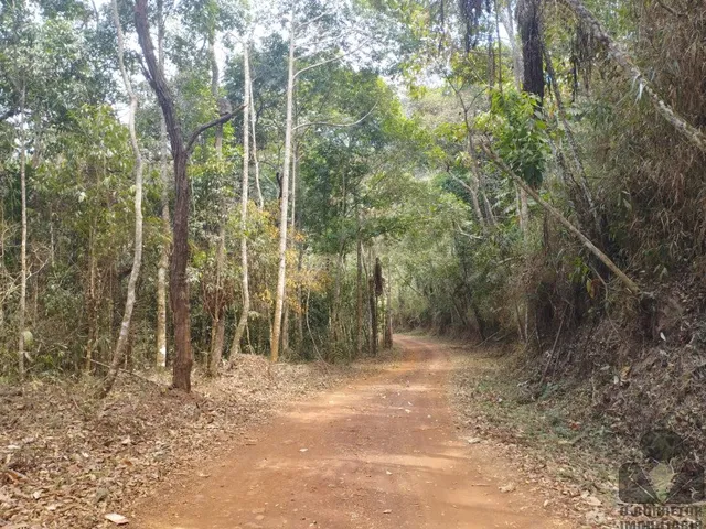 Imagem 8: Chácara à venda em Caeté-MG, perto Santuario Serra da Piedade, com 2.500m² de área