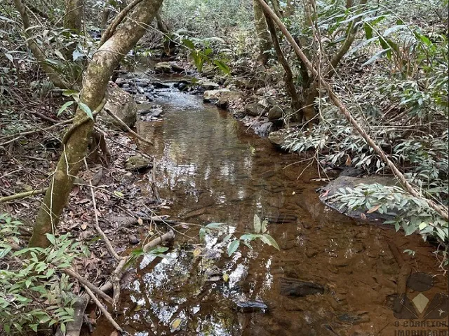 Imagem 2: Chácara à venda em Caeté - MG: 20.000m² no bairro Quintas da Serra, oportunidade