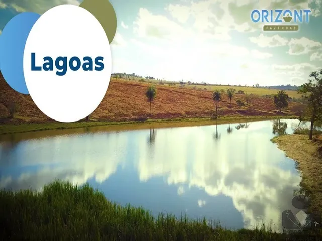 Imagem 10: Sítio Rural para Venda de 20.000m2, todos com topografia plana, excelente localização
