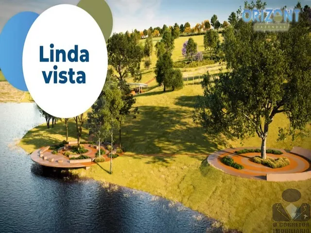 Imagem 3: Sítio Rural para Venda de 20.000m2, todos com topografia plana, excelente localização