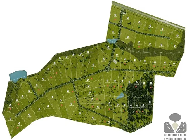 Imagem 11: Sítio Rural para Venda de 20.000m2, todos com topografia plana, excelente localização