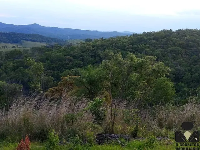 Imagem 7: OPORTUNIDADE IMPERDÍVEL! Sítio de 21.295m2 à venda, com linda vista para montanhas