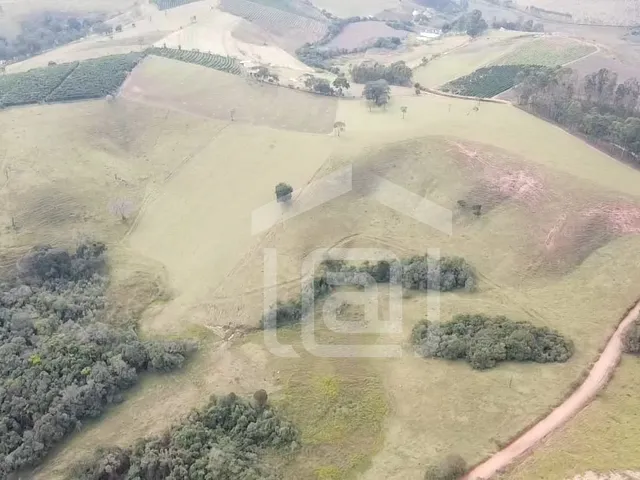 Imagem: Sitio para Pecuária em Campestre, MG
