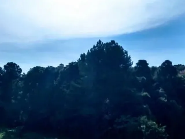 Imagem 10: Apartamento em Mossunguê - Curitiba, Pr