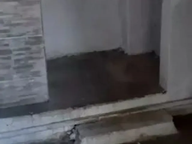 Imagem 3: Casa com 3 Quartos