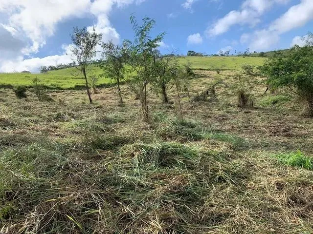 Imagem 5: Terreno em Arujá-Sp P/ Chácaras