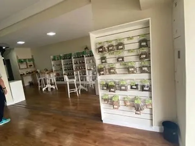 Imagem 2: Linda Loja em Excelente Ponto Comercial