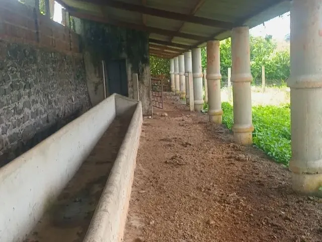 Imagem: Vende-Se Granja