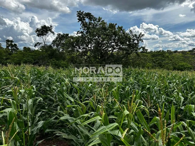 Imagem: Sítio-Paracatu