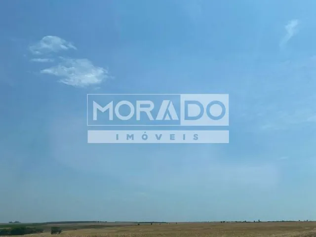 Imagem: Fazenda - Mundo Novo
