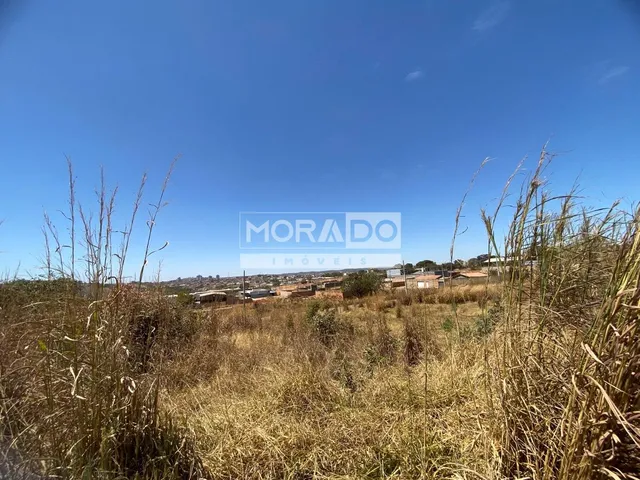 Imagem: Lote - St Eduardo