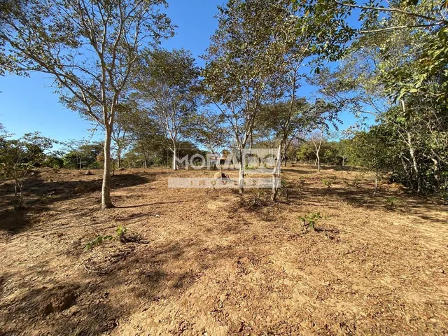 Imagem: Chácara - Paracatu
