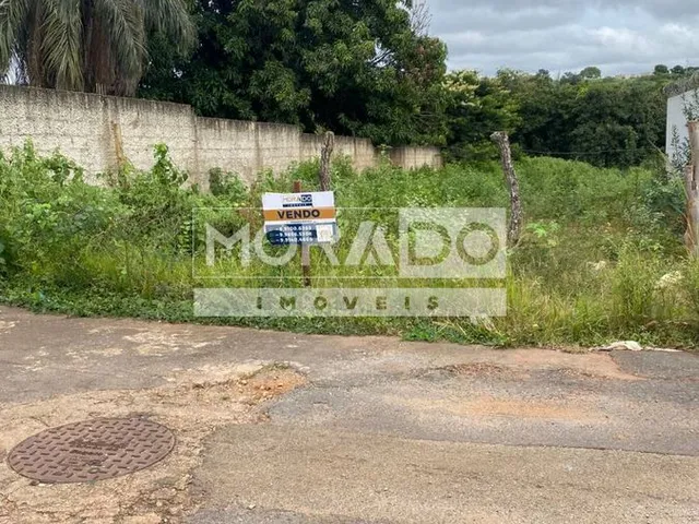 Imagem: Lote - Cidade Nova
