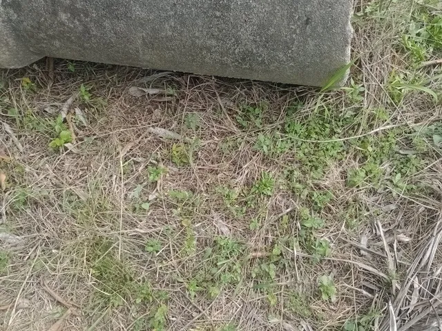 Imagem 6: SITIO RURAL em RIO BONITO - RJ, Rio dos Indios