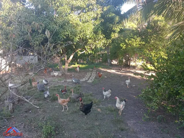 Imagem 15: SITIO RURAL em ITABORAÍ - RJ, CENTRO (SAMBAETIBA