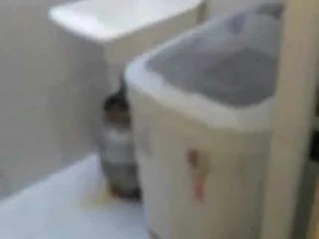 Imagem 11: Alugam Se Apartamento e Kitinet na Coroa do Meio