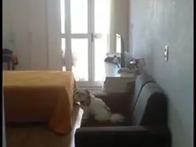Imagem 1: Apartamento Centro