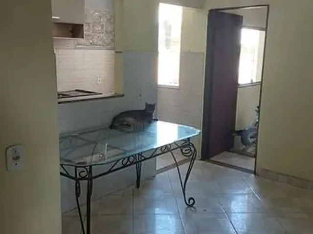 Imagem: Alugo Apto na Candangolândia