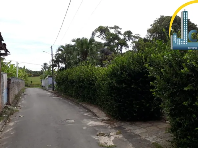 Imagem 12: Vendo Sítio em Monte Gordo com 5.000m², R$ 650.000,00 aceita financiamento!!!