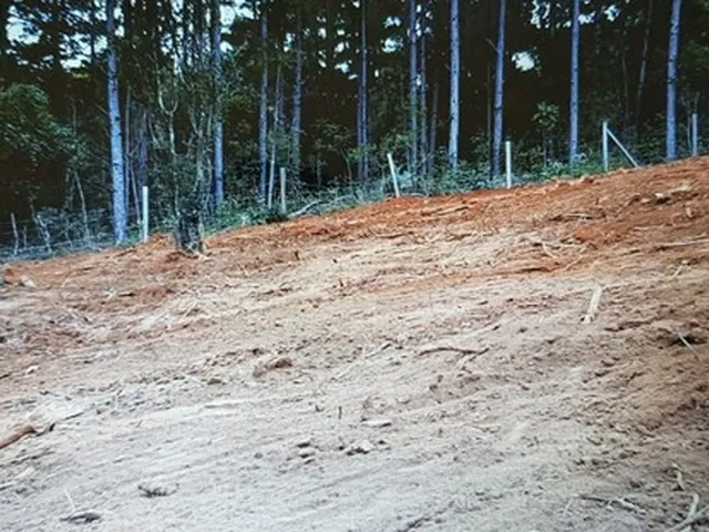 Imagem: Terreno com Aproximadamente 2.8000M2