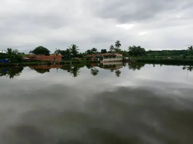 Imagem: 2 Viveiro P Criaçao de Camarao Povoado