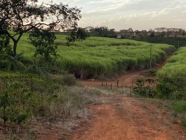 Imagem: Venda