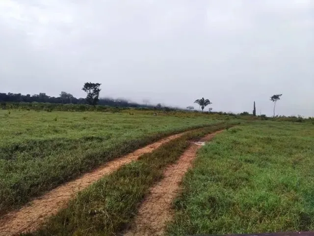 Imagem: Fazenda a Venda em Juara-Mt