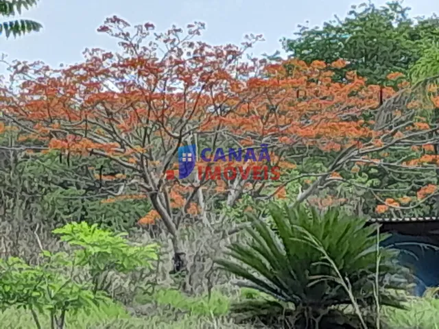 Imagem: Chácara à venda! Escriturada