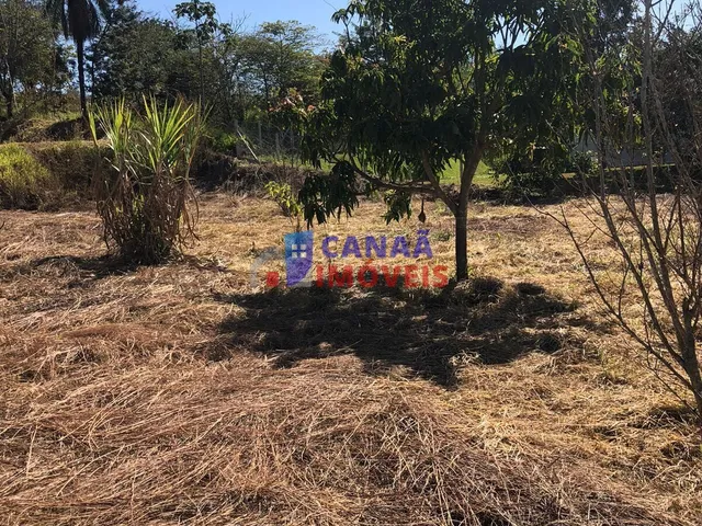 Imagem 15: Chácara à venda! Escriturada