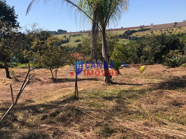 Imagem 2: Chácara à venda! Escriturada