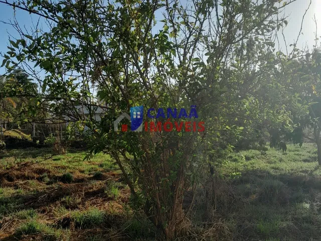 Imagem 12: Chácara à venda! Escriturada