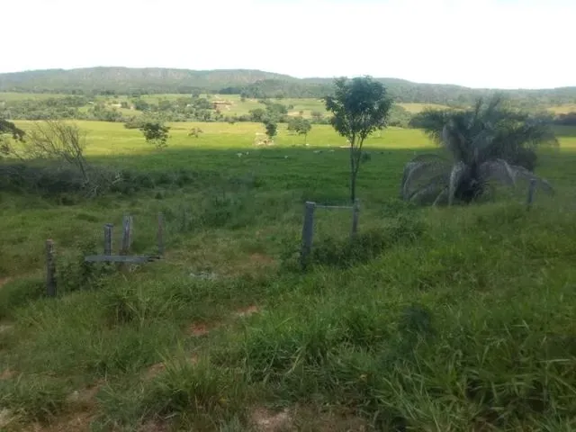 Imagem: Fazenda a Venda em Campo Verde!!!