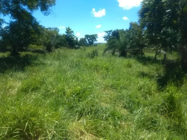 Imagem 4: Fazenda a Venda em Campo Verde!!!