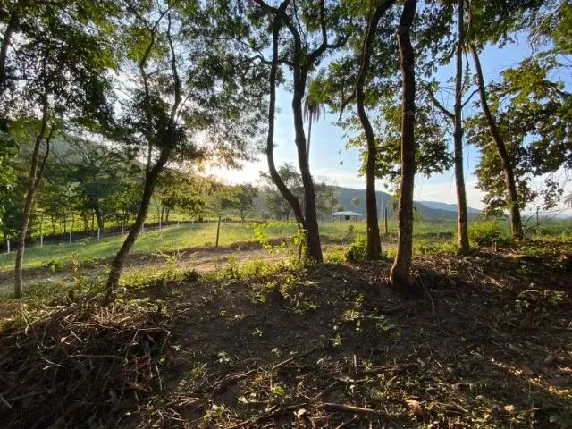 Imagem: Oportunidade Vendo Lote 250M² Ou 500M²
