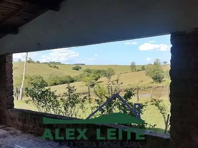 Imagem: Atenção Leia Todo Anúncio.vende-Se Lindo