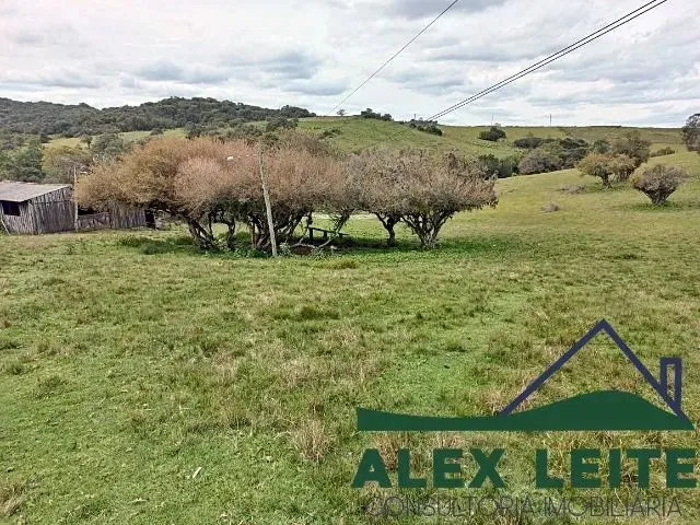 Imagem 3: Atenção Leia Todo Anúncio.vende-Se Lindo Sítio de 24 Hectares na Cidade De
