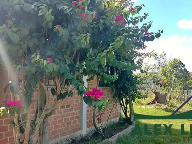 Imagem 7: Atenção Leia Todo Anúncio.vende-Se Lindo Sítio de 24 Hectares na Cidade De